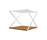 XZone | ALL+