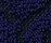 Web Art | OBJECT CARPET