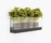 Front Plant | Karl Andersson