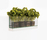 Front Plant | Karl Andersson