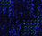 Web Art | OBJECT CARPET