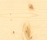 mafi PICEA | mafi