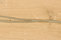 mafi Coral OAK gold | mafi