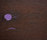 mafi Nero Coral OAK Vulcano violet | mafi