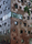 fibreC - Exterior | Rieder
