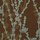 Climb | Maharam