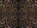 Echo, Wow And Flutter; Sideways, Flopped And Mirrored | Maharam