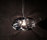 Diamond | Viso