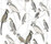 Funny Parrots | WALL & DECÒ