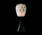 Bloom | .MGX by Materialise