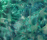 Fantasy | Conglomerate