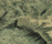 Metal Hybrid | Conglomerate