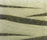 Glassbrica | Conglomerate