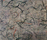 Glassbrica | Conglomerate