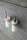 Special accessories | Rexa Design