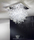 Aura | Axo Light