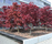 Special Benches | BURRI