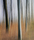 Forest | Berlintapete