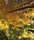 Forest | Berlintapete