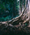 Forest | Berlintapete