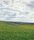 Landscape | Berlintapete