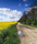 Landscape | Berlintapete