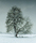 Landscape | Berlintapete