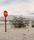 Landscape | Berlintapete
