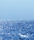 Water | Berlintapete
