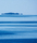 Water | Berlintapete