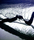 Water | Berlintapete