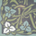 11761_200 Standard assortment cement tiles | VIA