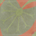 51033_200 Special edition cement tiles | VIA