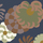 51078_200 Special edition cement tiles | VIA