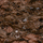 Nature précieuse | Elitis
