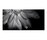 Black and White Slim/4 | Floor Gres