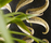 Luxury 4 | Lithos Design
