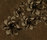 Flowers poetry | WALL & DECÒ