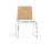 Ginger | Inclass