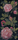 Springrose | Bisazza