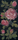 Springrose | Bisazza