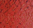 Salmon Leather Red | Nanai
