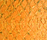 Salmon Leather Orange | Nanai