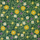 Primule | Bisazza