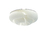 Moonjelly CORONA | Limpalux