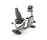 Excite + | Technogym