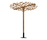 Nest Tree | Deesawat