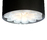 Daisys Suspended lamp | Odesi
