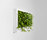 Greenscreen | Greenworks