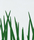 VID301/GREEN | Virtuell